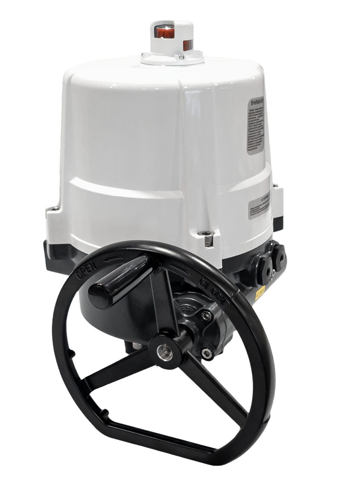 Ридан 065L8184R — Электропривод AMB-H-170 220В без блока управления; IP67; для шаровых кранов RJIP DN250 стандартный проход